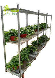 隆起の義務の温室はデンマークの棚花および植物のトロリーを運びます