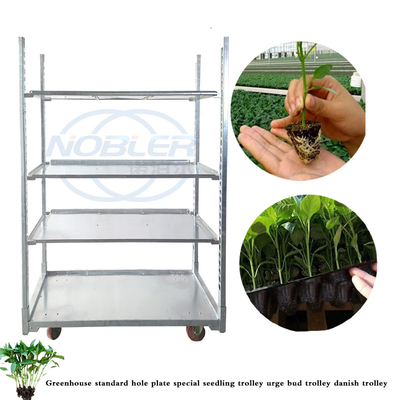 便利 な 組立 デンマーク の 植物 トロッキー