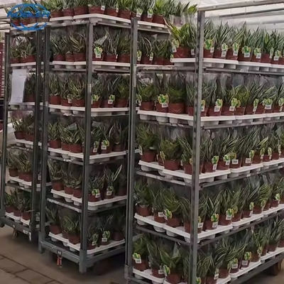 高負荷温室 デンマークの花のトロッキー 粉末塗装