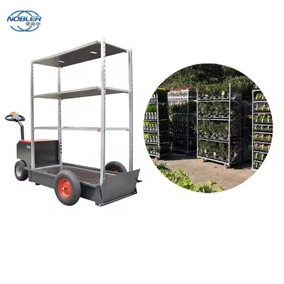 買い物 粉末で覆われた オランダの花の車 販売