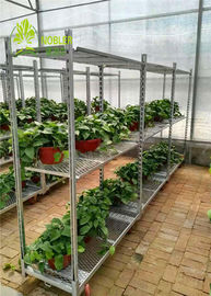より気高いデンマークの容器装置によって電流を通されるCCの花および植物のトロリー