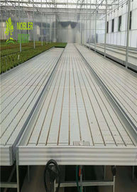 より気高い温室はベッドの新しい優れた静止した成長するベンチ システムを育てます