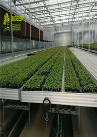 Hydroponic皿の実生植物の温室は植物のSeedbed/野菜のためのベッドを育てます