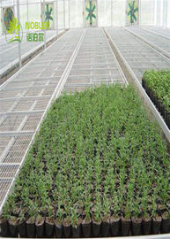 Hydroponic皿の実生植物の温室は植物のSeedbed/野菜のためのベッドを育てます